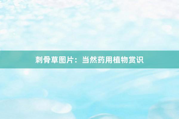 刺骨草图片：当然药用植物赏识